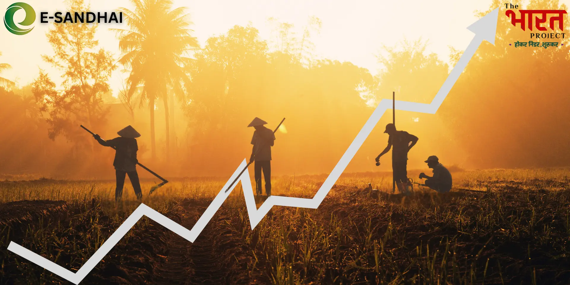 E-Sandhai: Revolutionising Agri Supply Chains in India