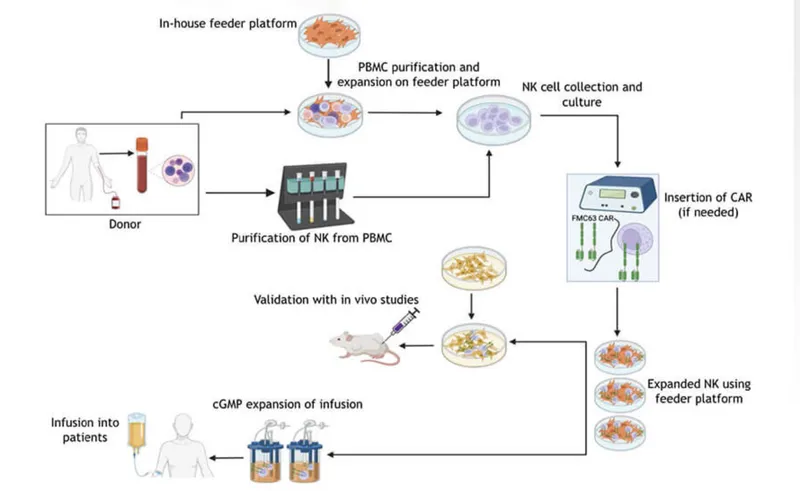 NKure Therapeutics