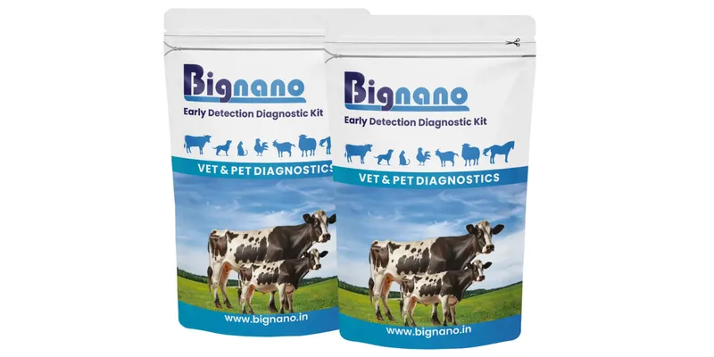 bignano