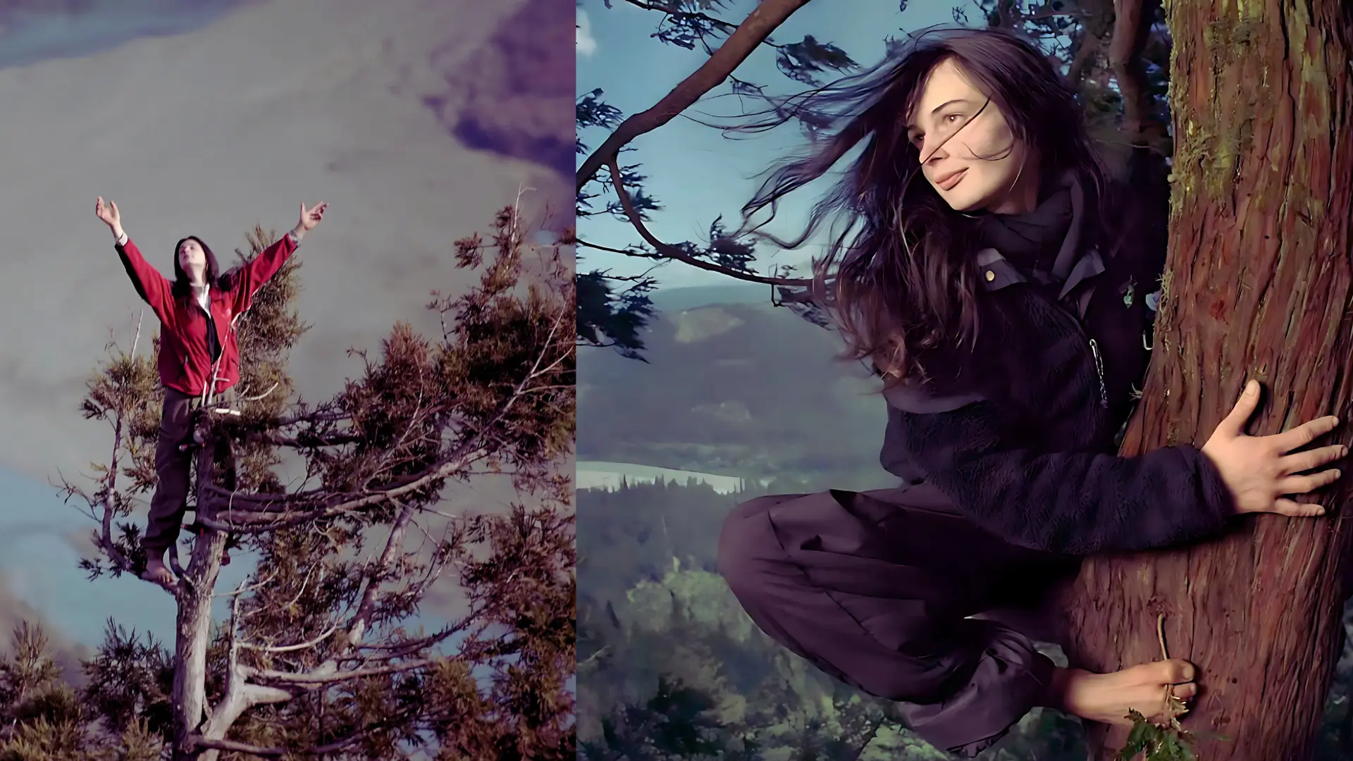 How One Woman Saved a 1,000-Year-Old Tree by Living in It for 738 Days | YourStory