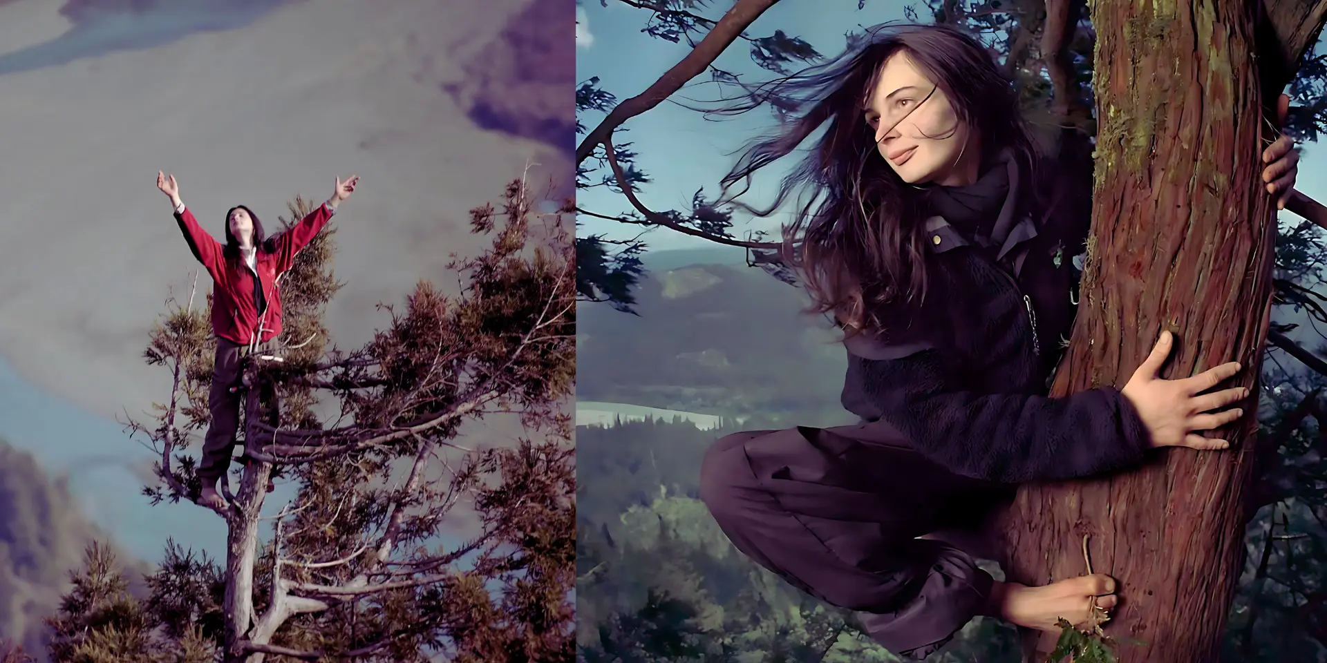 How One Woman Saved a 1,000-Year-Old Tree by Living in It for 738 Days