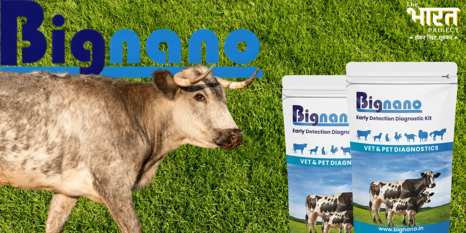 Bignano Ventures Brings Bovine Diagnostic Tech to Rural India