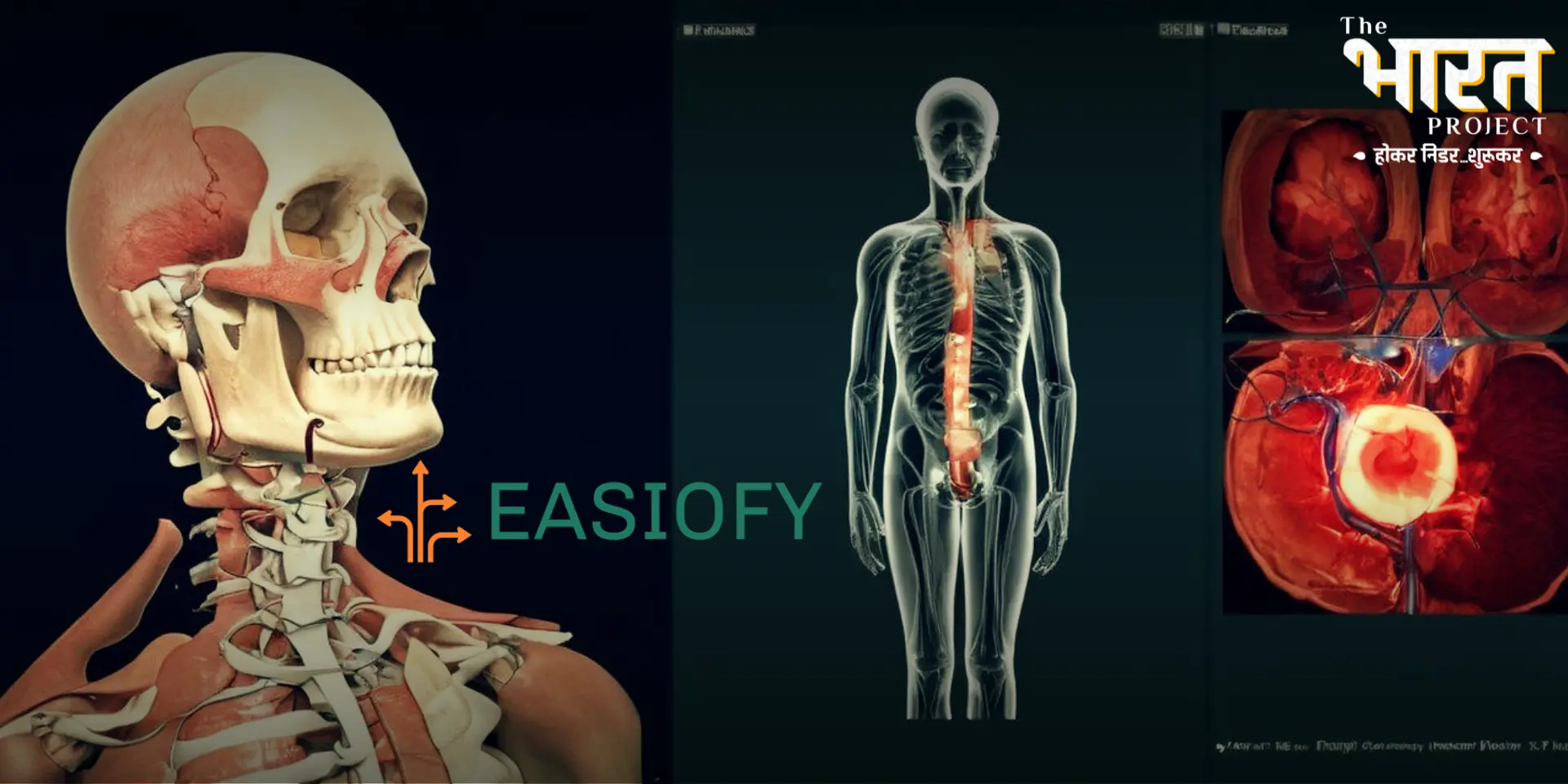 Easiofy Solutions: Pioneering AI-Driven Diagnostics in India's Heartland