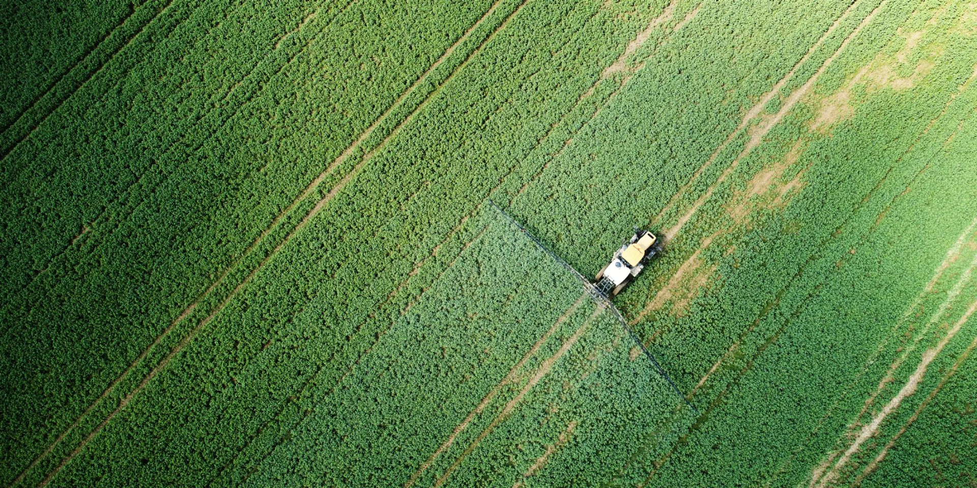 Niyo FarmTech’s Sprayers Are Changing the Game for Small Indian Farmers