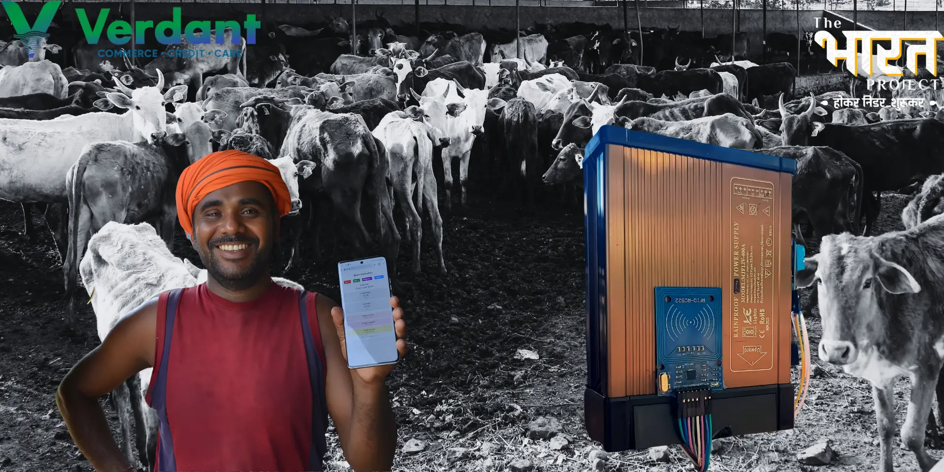 Inside Verdant Impact’s Indigenous Livestock Revolution
