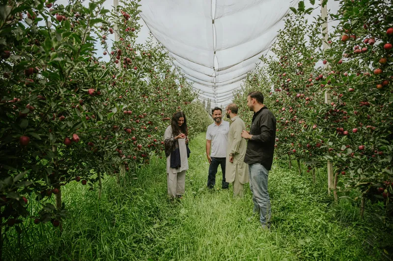 Orchardly