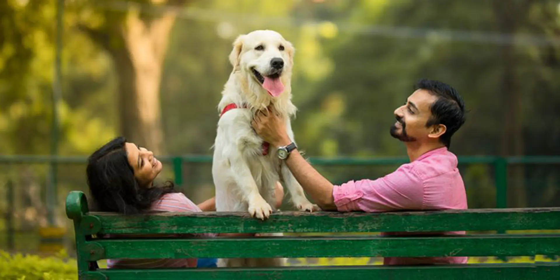 Love dogs & cats? These 5 pet startups show how to mix business with pleasure
