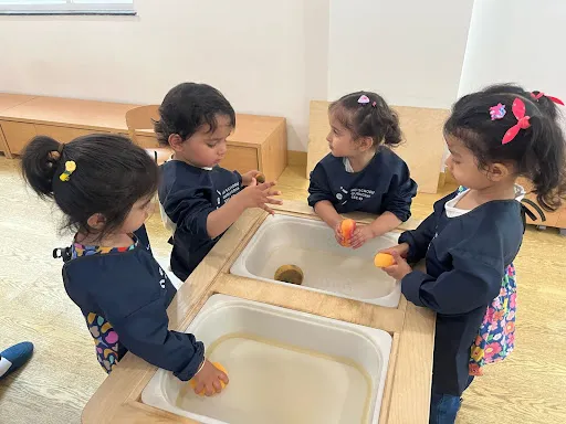 HEI Schools