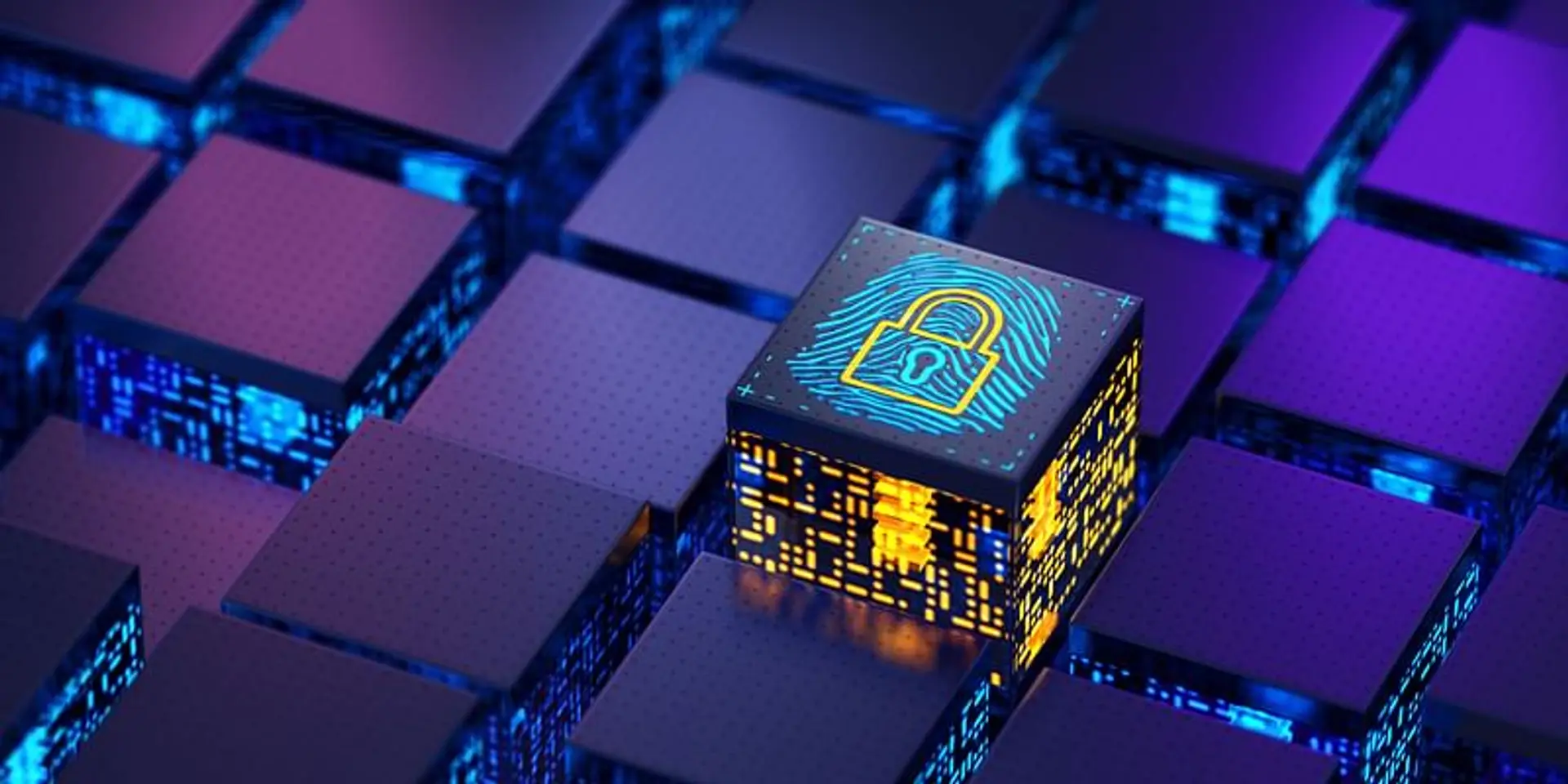 Protect your digital identity and data with Affinidi. Here’s how