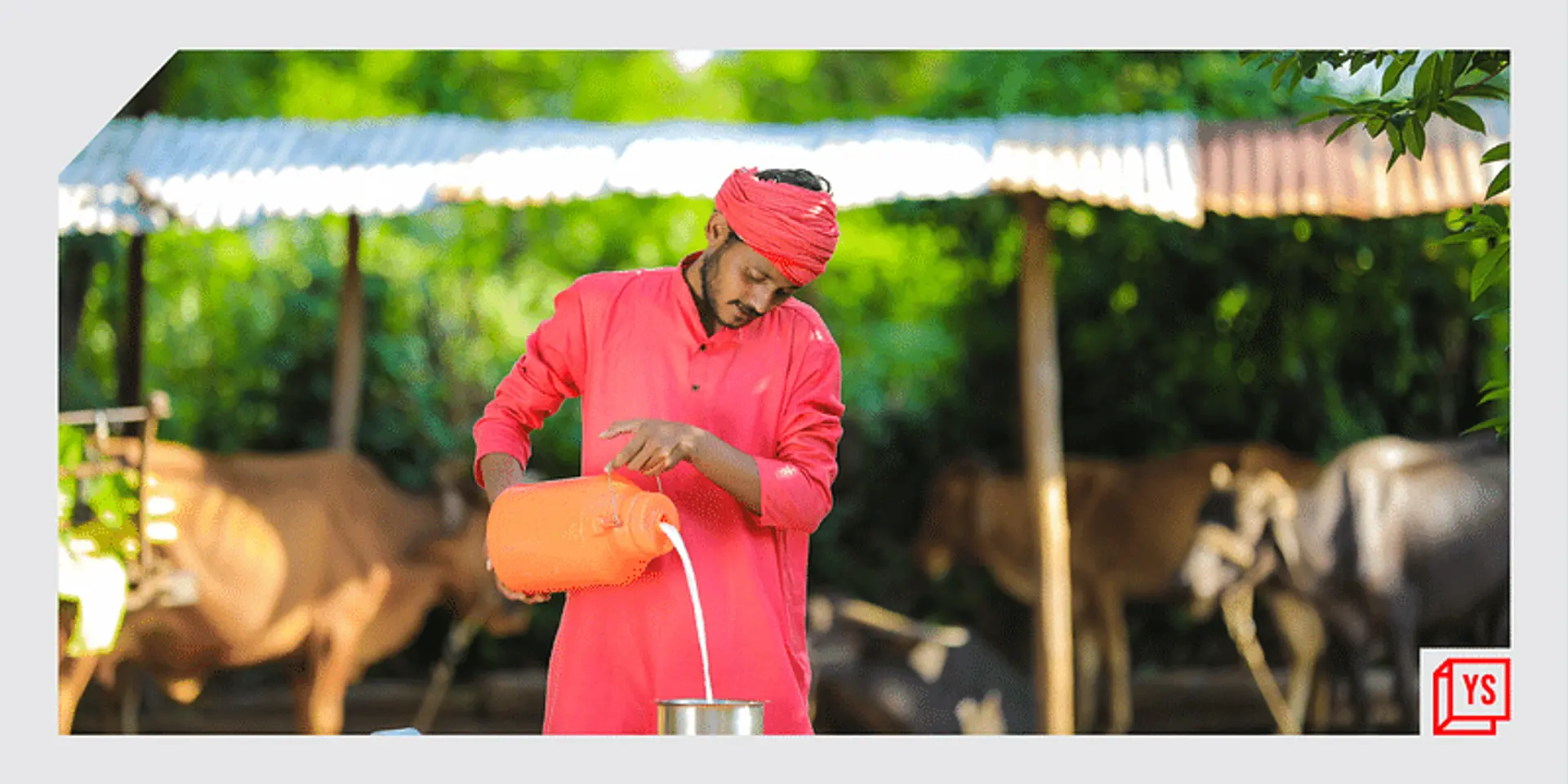 How technology can boost India’s milk production