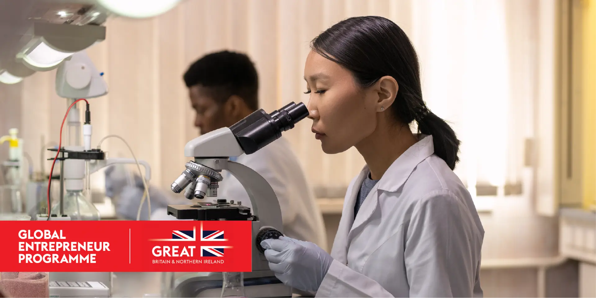 This government programme could help your business scale up in the UK