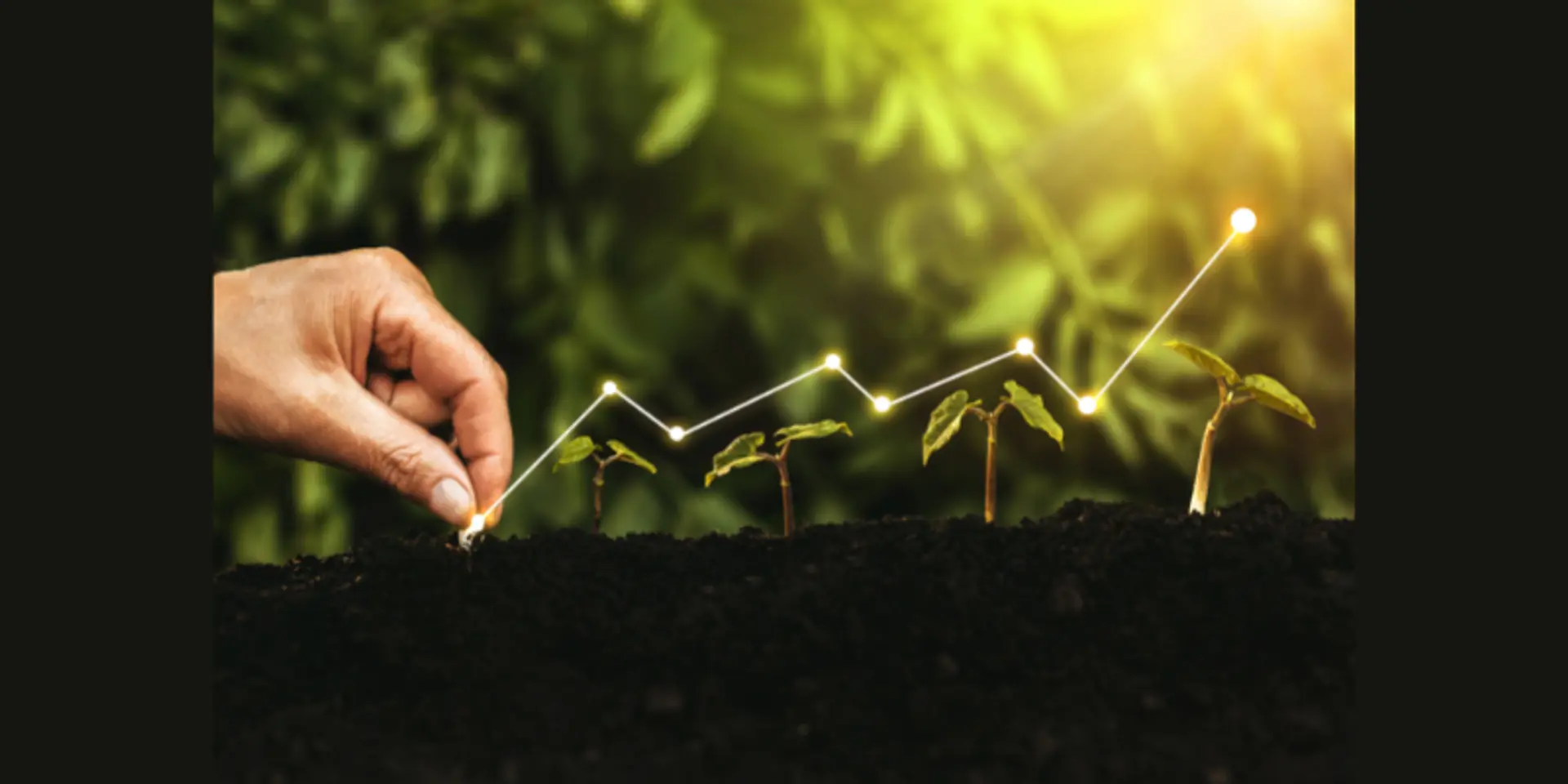FOOD SYSTEMS LIVE! BUSINESS FOR A CAUSE