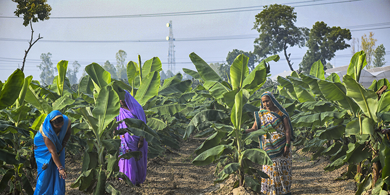 Walmart Foundation makes fresh grant to help small farmers in India; takes total corpus to $10M