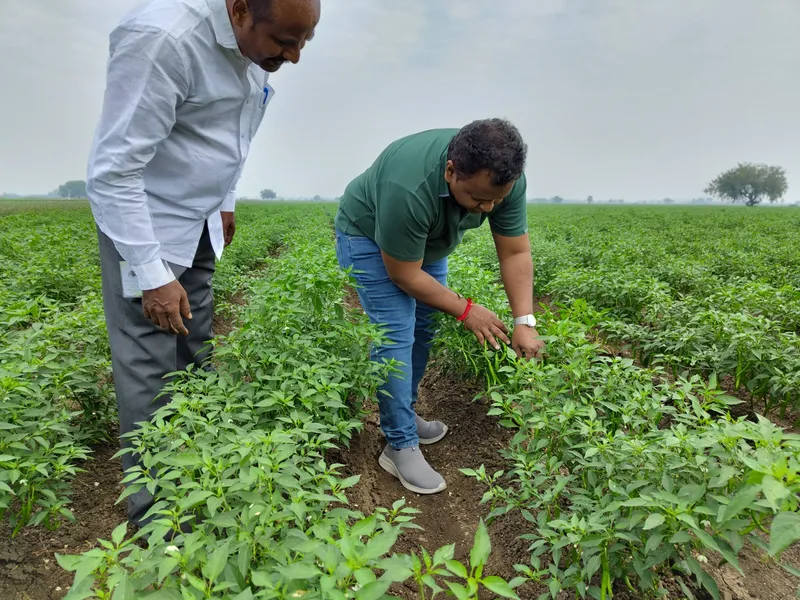 Krishi farmer