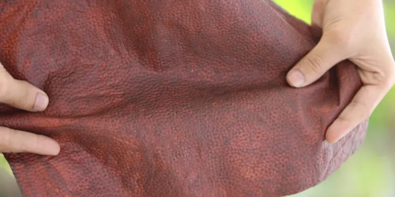 Fleather