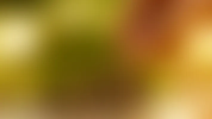 Bound4blue Funding News 2024 2025 2024 Strive For Growth Bound4blue Funding News 2024 2025 2024 Strive For Growth