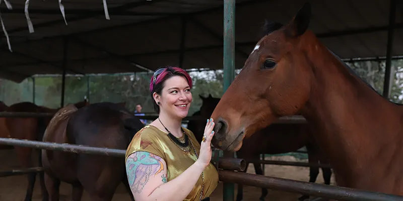 RIPC stables