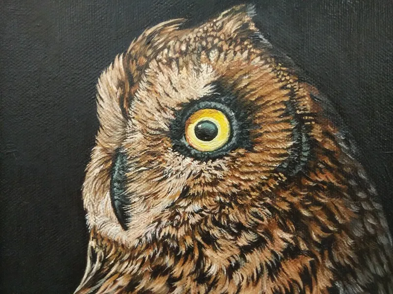 Artists for Wildlife and Nature
