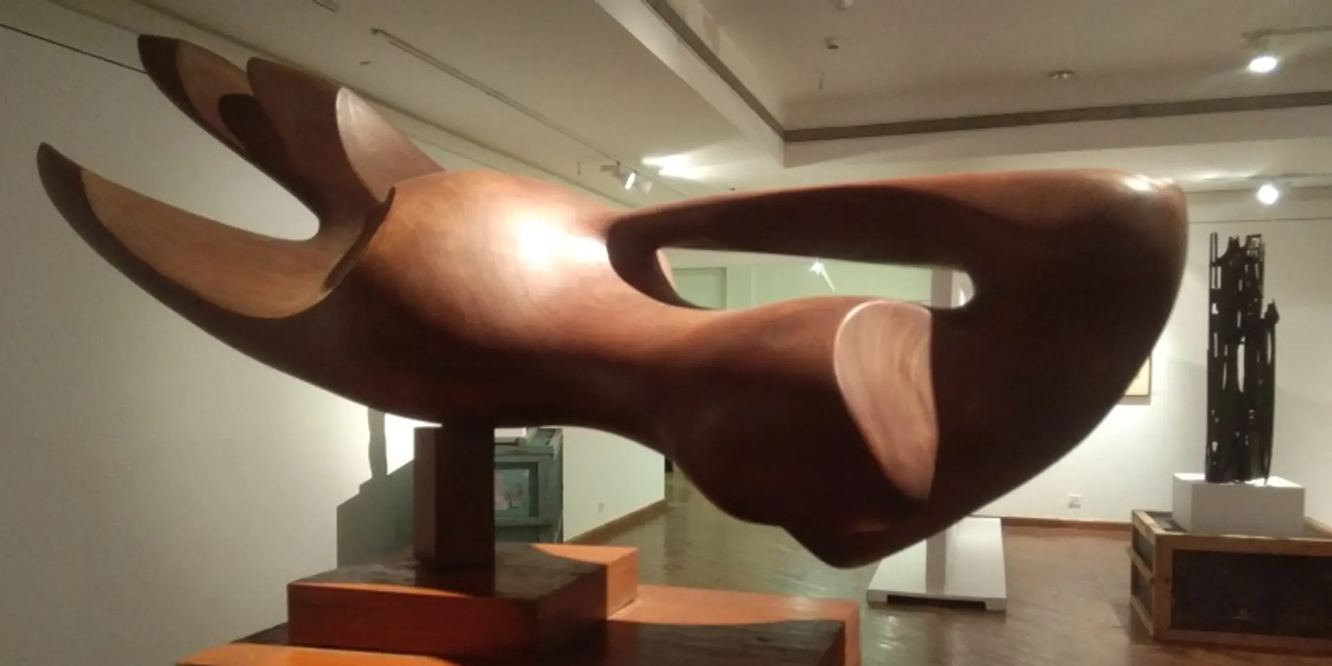A 65-year journey in modern art: India’s National Gallery of Modern Art showcases over 100 creative works