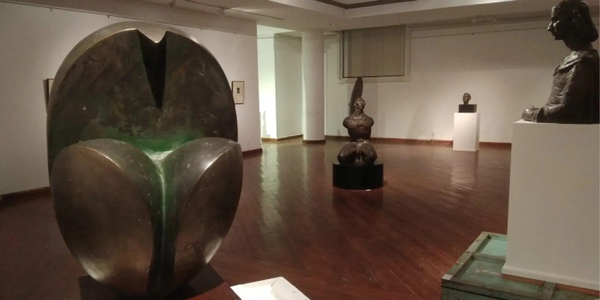 Artistic sensibility can be a part of your work even if you are not an artist: Subarna Patro, NGMA Curator