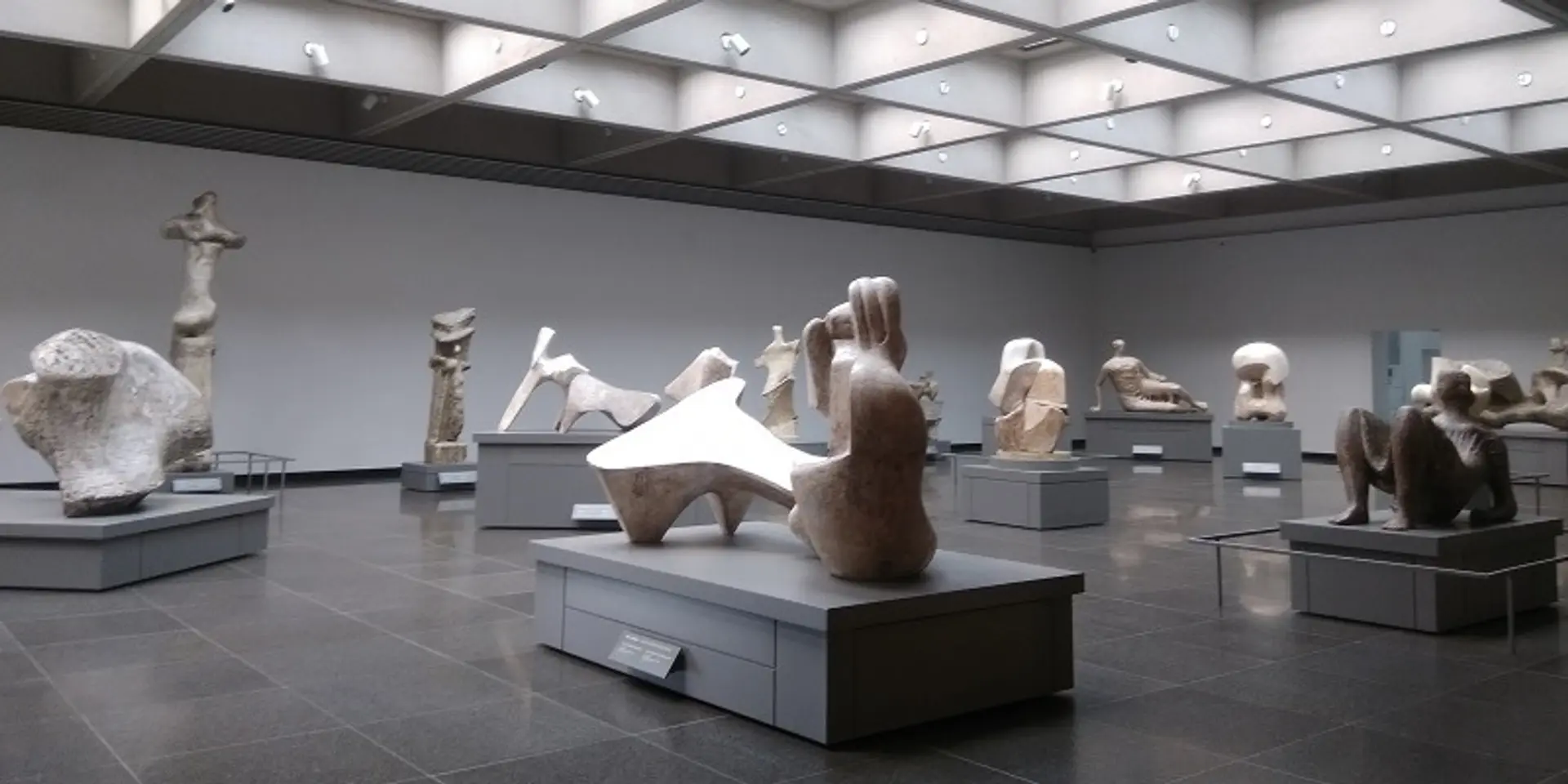 Quality with quantity: how creativity can span diversity and depth