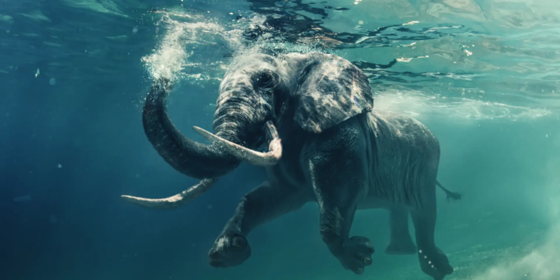 ‘Fluidity is the key to conquering life’ – 40 quotes from Indian startup journeys