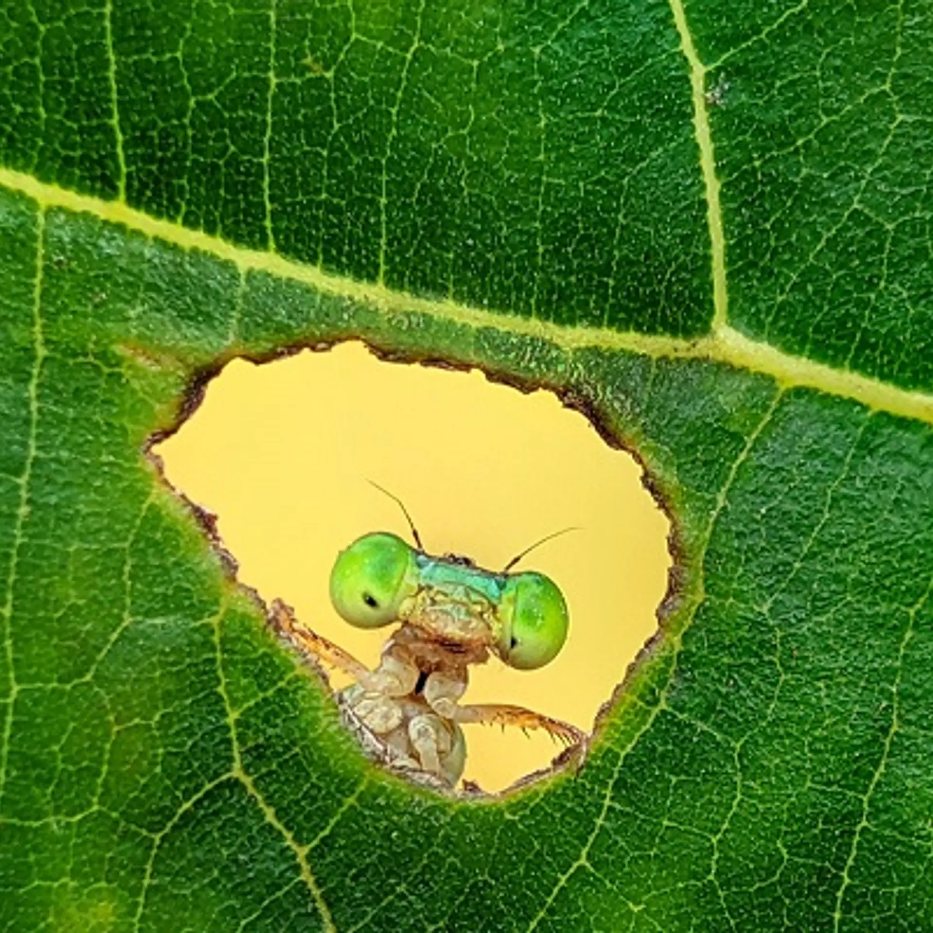 Ever heard of a supercomputer made out of PlayStations? | YourStory