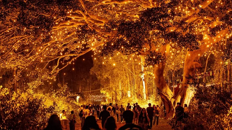 Echoes of Earth 2023 - Big Tree stage