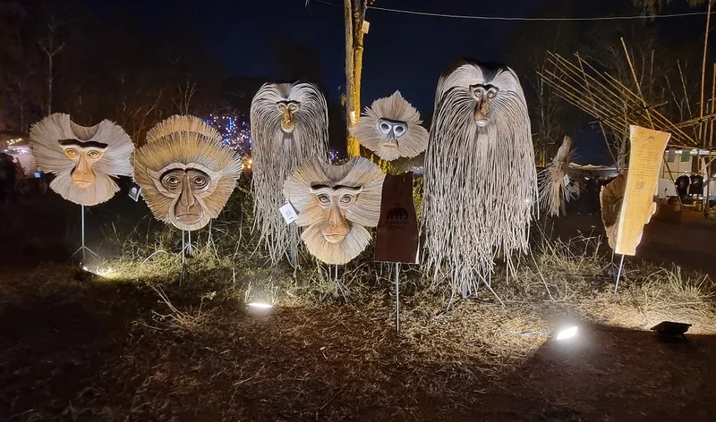 Artwork with a function: Sixth Sense music pageant kicks off to a spectacular begin in Bengaluru 6 3