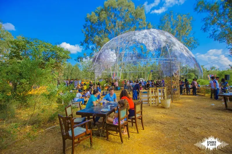 Echoes of Earth 2017 -Installation