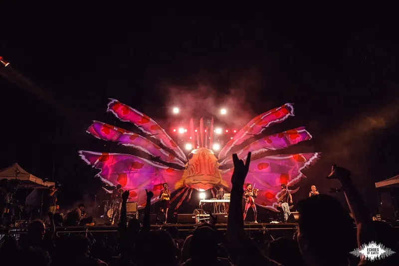 Echoes of Earth 2018 - Lionfish stage