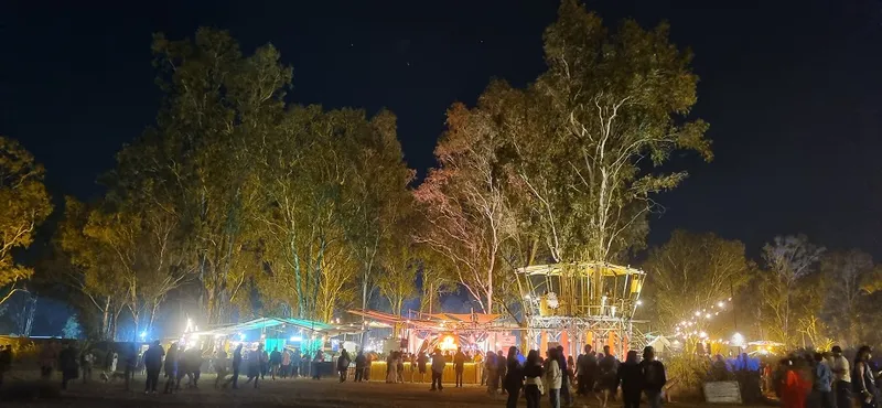 Artwork with a function: Sixth Sense music pageant kicks off to a spectacular begin in Bengaluru 10 7