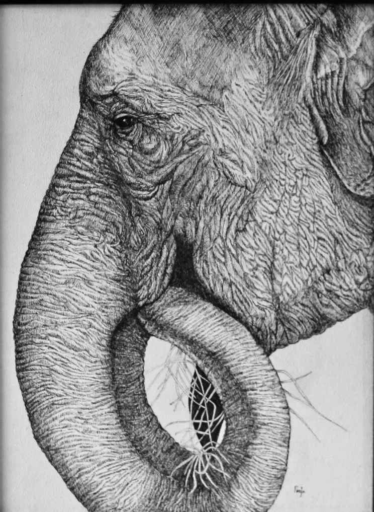 Artist: Pooja Jain