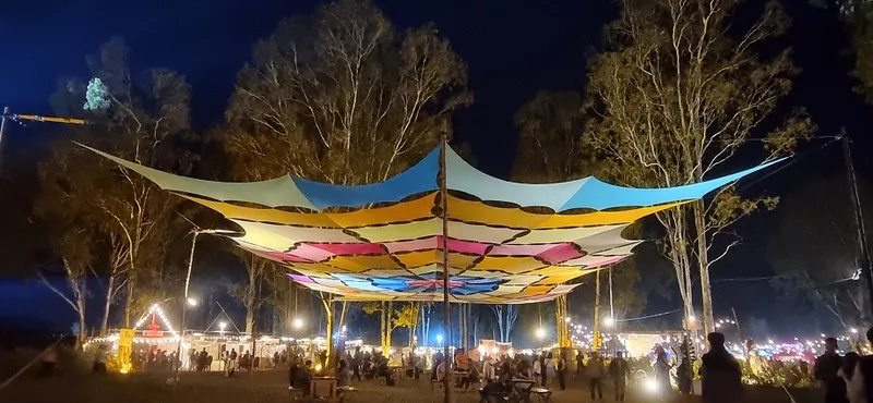 Artwork with a function: Sixth Sense music pageant kicks off to a spectacular begin in Bengaluru 11 8