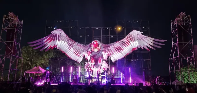 Artwork with a function: Sixth Sense music pageant kicks off to a spectacular begin in Bengaluru 12 9