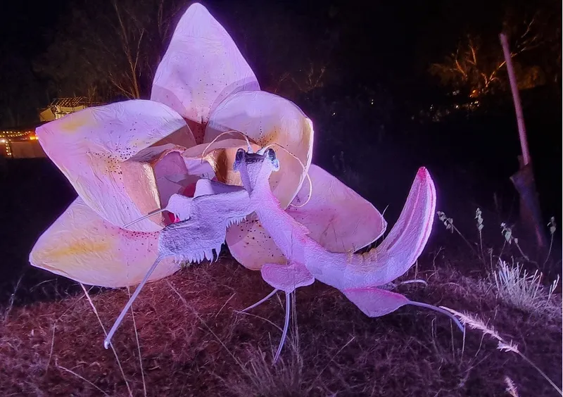 Artwork with a function: Sixth Sense music pageant kicks off to a spectacular begin in Bengaluru 15 10