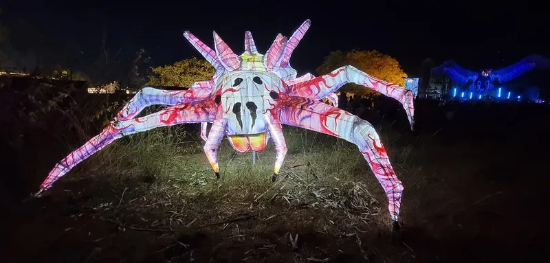 Artwork with a function: Sixth Sense music pageant kicks off to a spectacular begin in Bengaluru 19 15