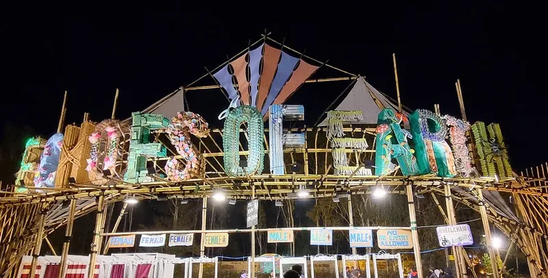 Artwork with a function: Sixth Sense music pageant kicks off to a spectacular begin in Bengaluru 22 19