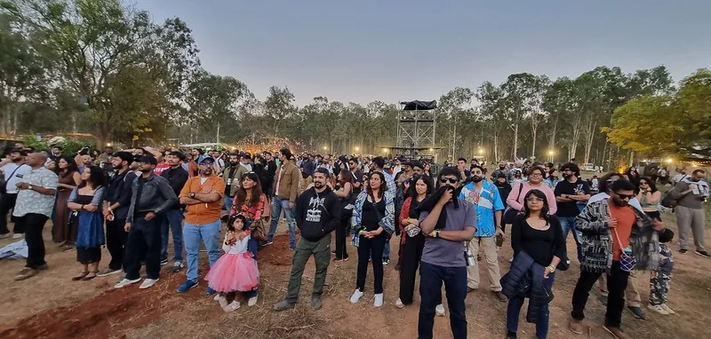 Artwork with a function: Sixth Sense music pageant kicks off to a spectacular begin in Bengaluru 13 B