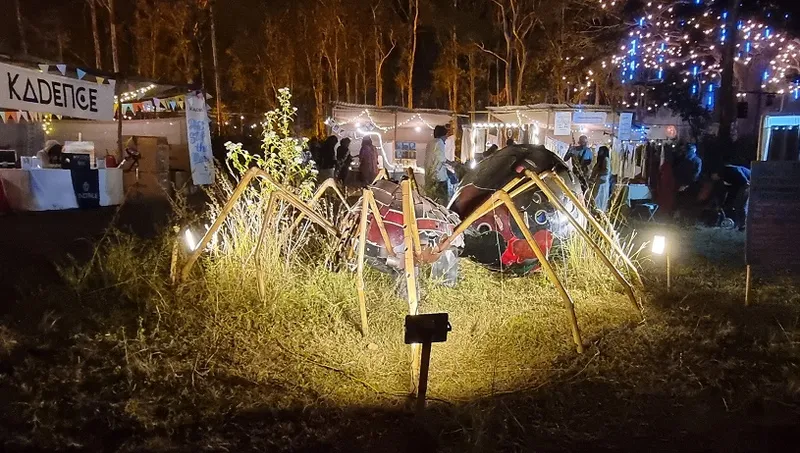 Artwork with a function: Sixth Sense music pageant kicks off to a spectacular begin in Bengaluru 14 C