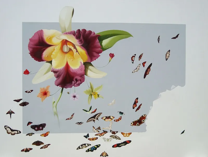 Butterfly looking for the flowers by Husin
