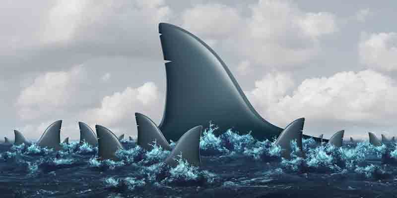 ‘A crisis often brings out the best in you’ – 50 quotes from Indian startup journeys