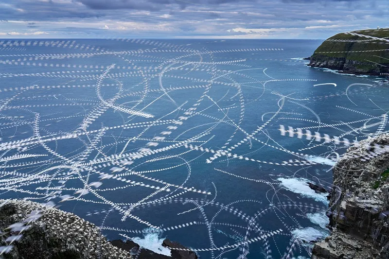 Creative Nature - Rajan Desai