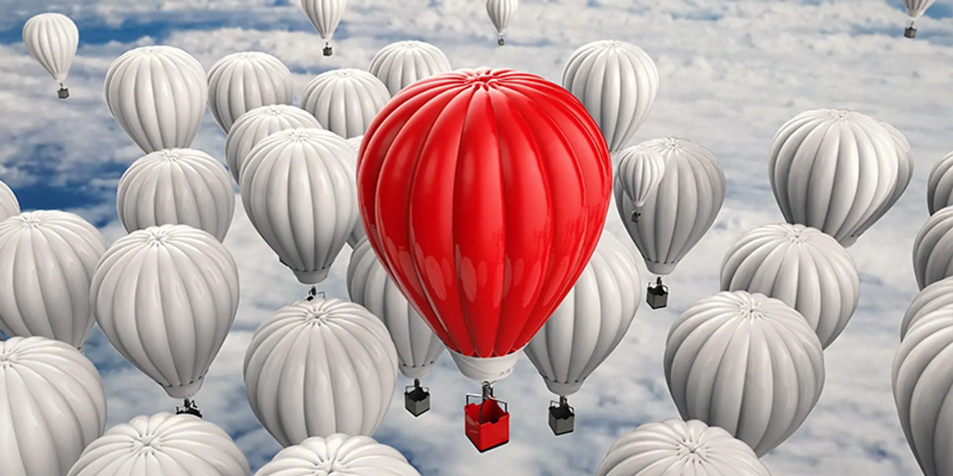 Leadership, resilience, sustainability: test your business creativity with Edition 35 of our quiz!