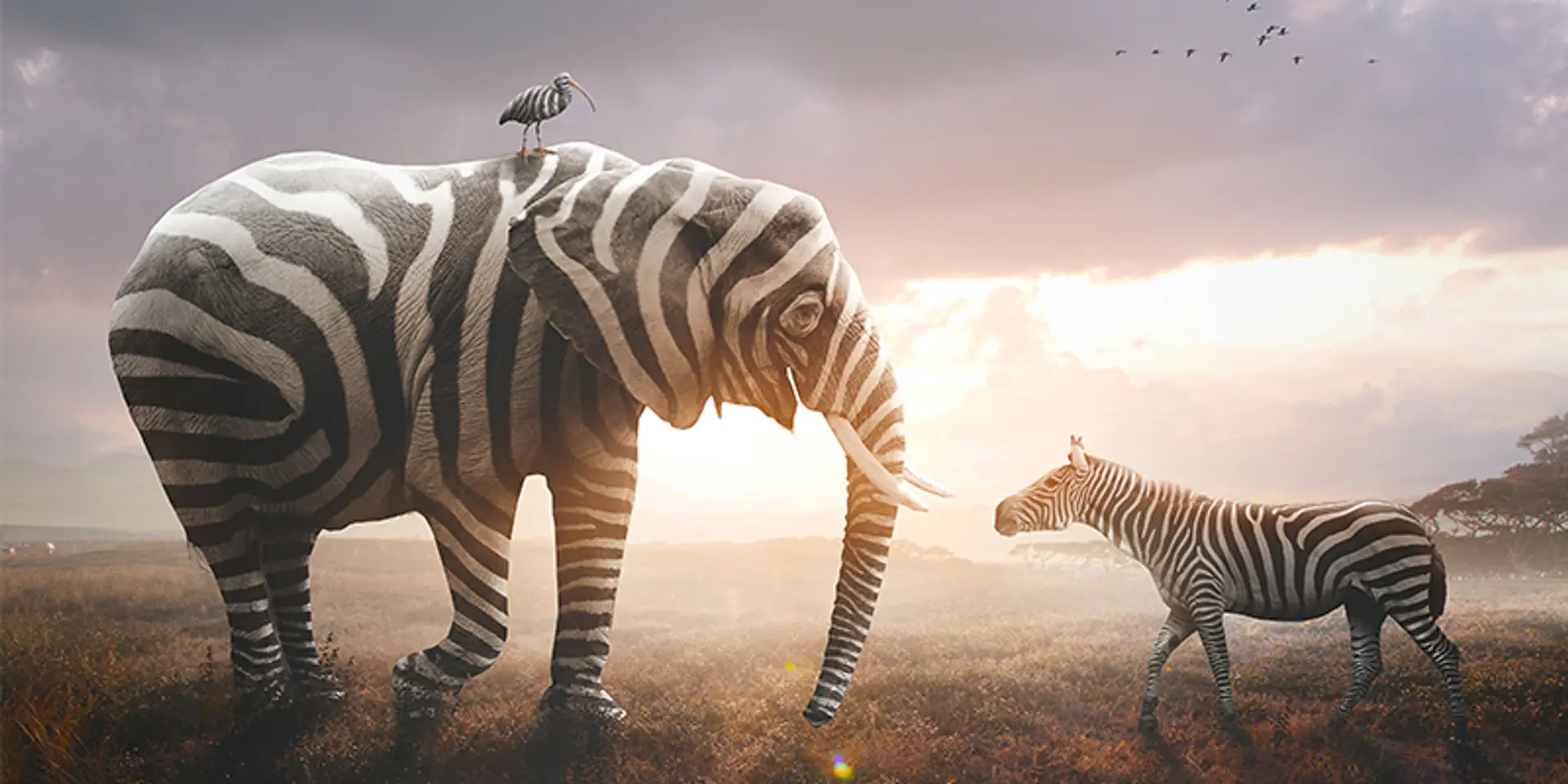 ‘To keep oneself open to curiosity is in itself a craft’–15 quotes on motivation and change