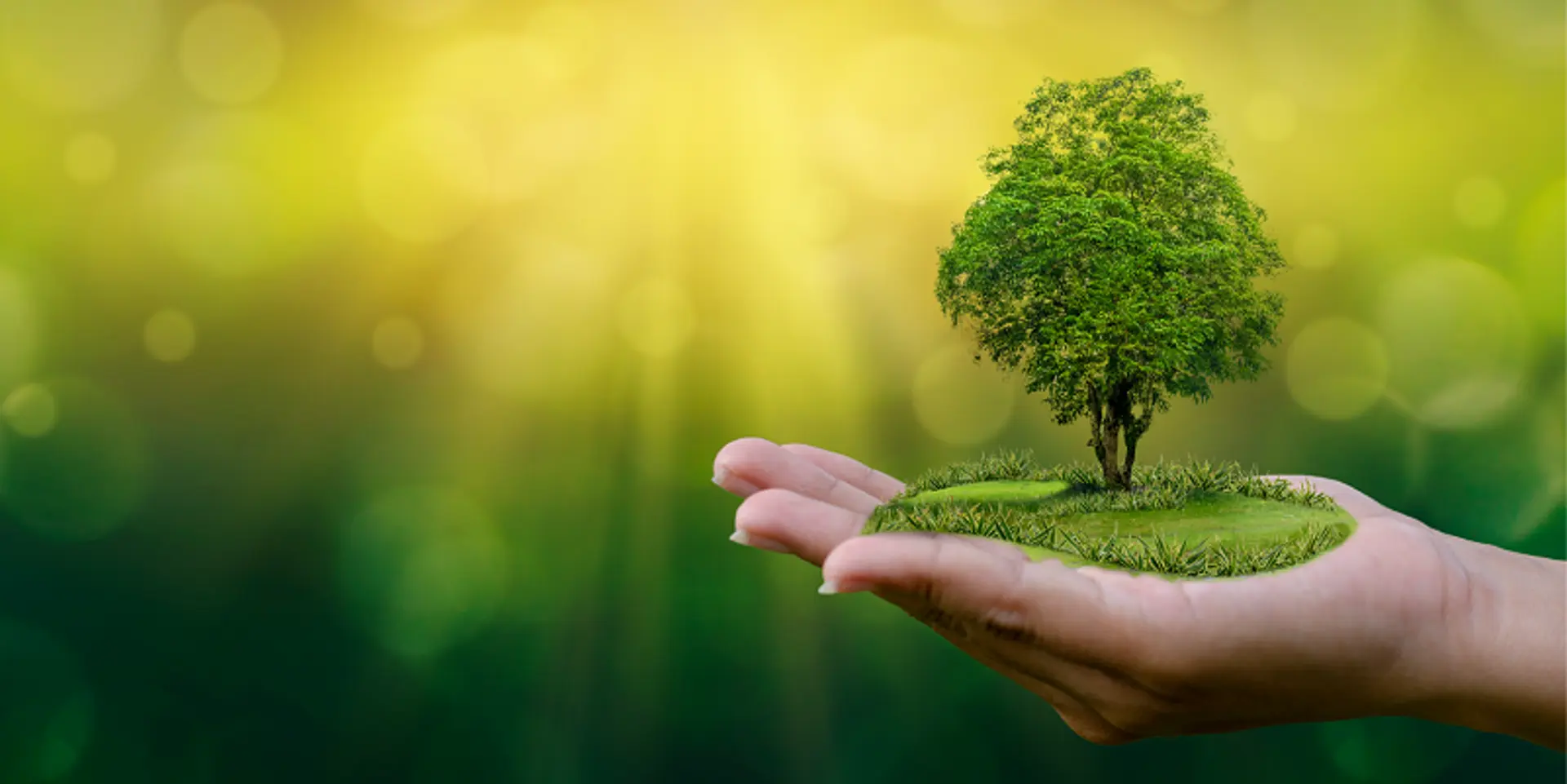 ‘Sustainability will no longer be just a buzzword. It has become a necessity’ – 15 quotes on motivation and change