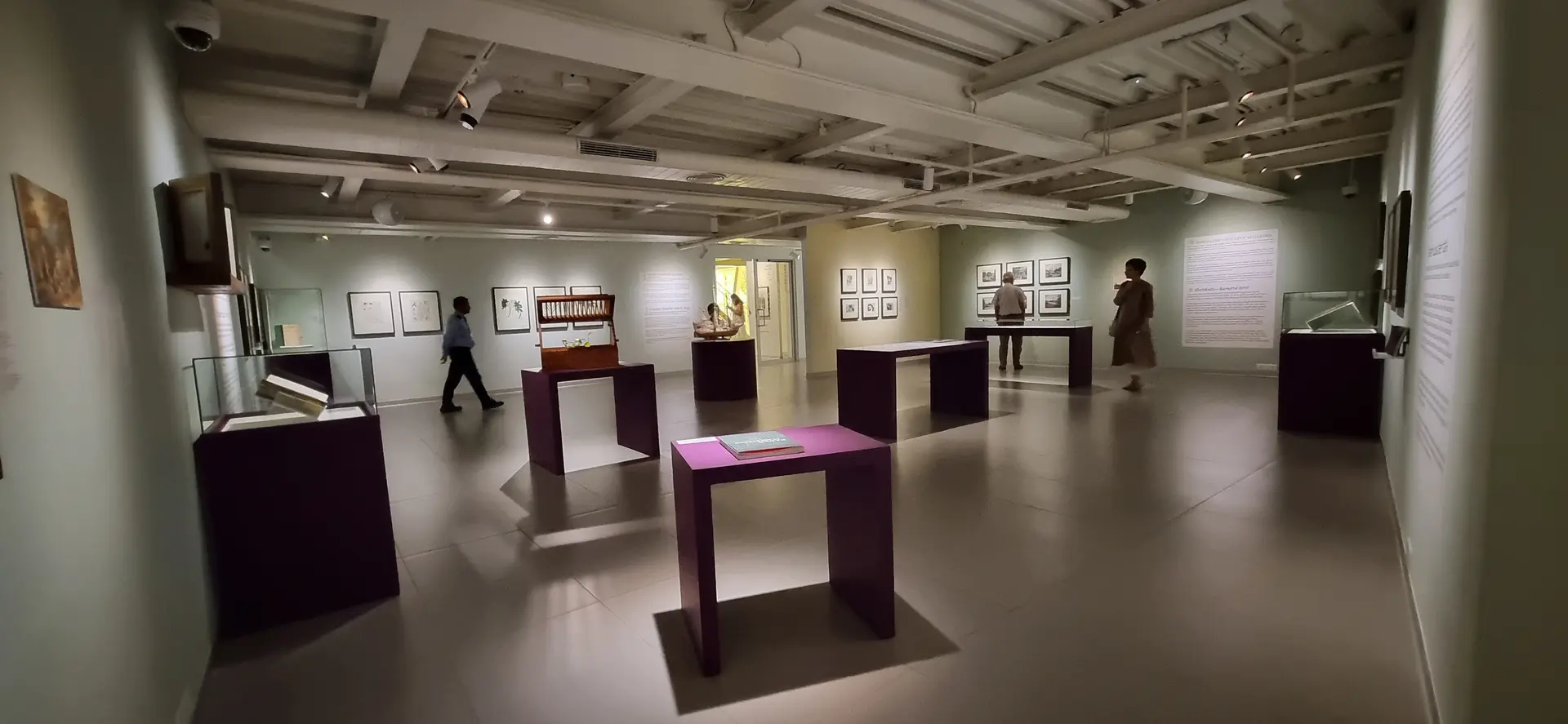 International Museum Day: Museum of Art and Photography showcases botany, history and social media