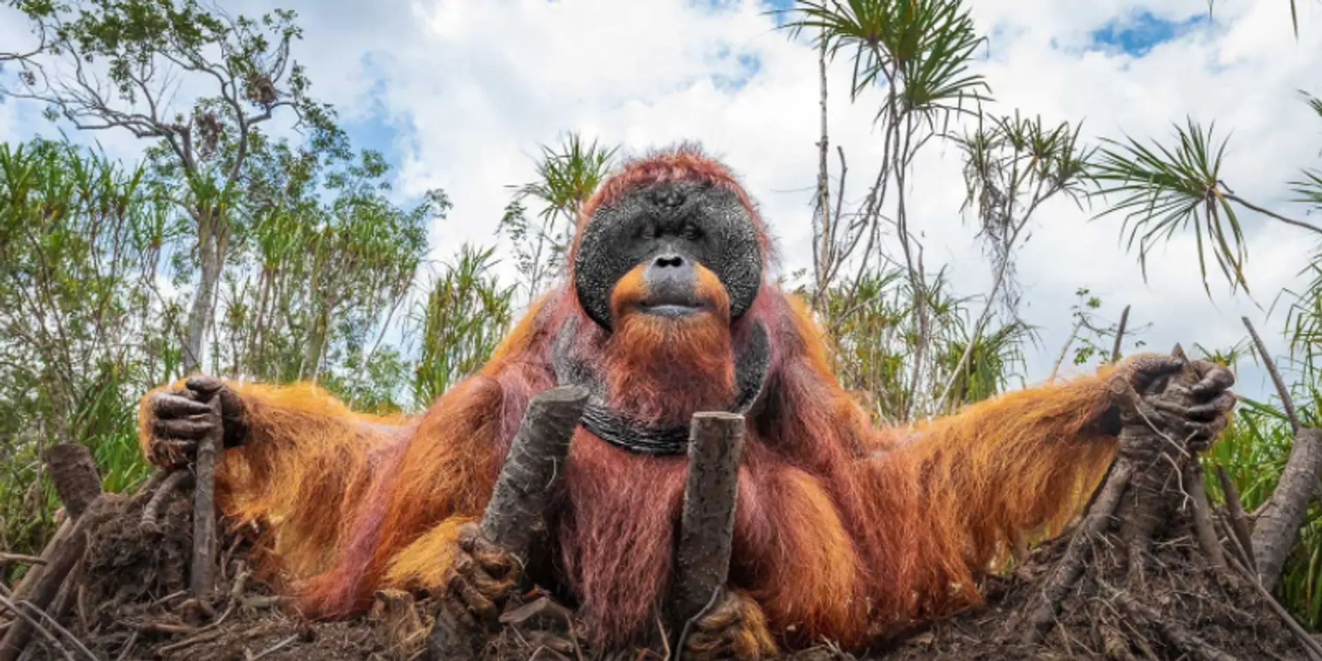 Underwater, camera trap, and drone images – Nature inFocus founder Rohit Varma on wildlife photography trends of 2021