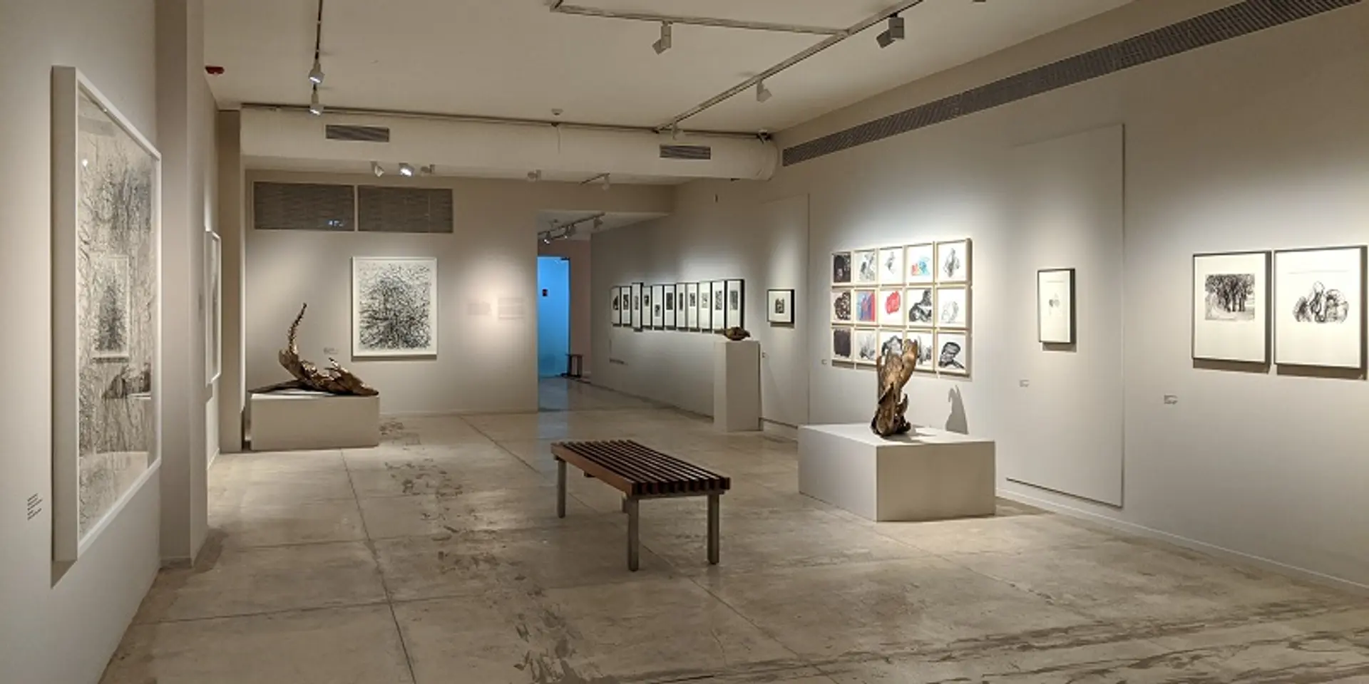 Connect, create, celebrate – meet Roobina Karode, Chief Curator of the Kiran Nadar Museum of Art