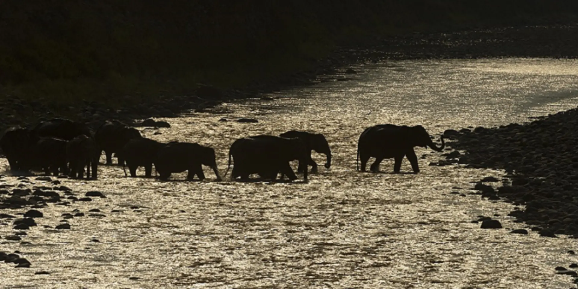 ‘There is no Planet B’ – Nature inFocus founder Rohit Varma on the importance of nature conservation